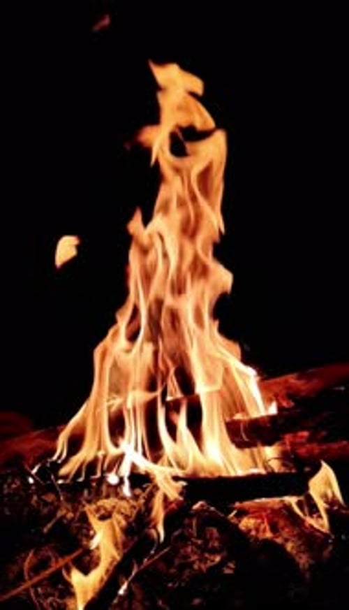 Bright Camp Fire Flames Against Black Background