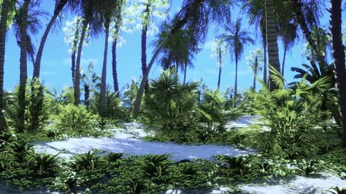 Tropical Beach with Coconut Palm Tree