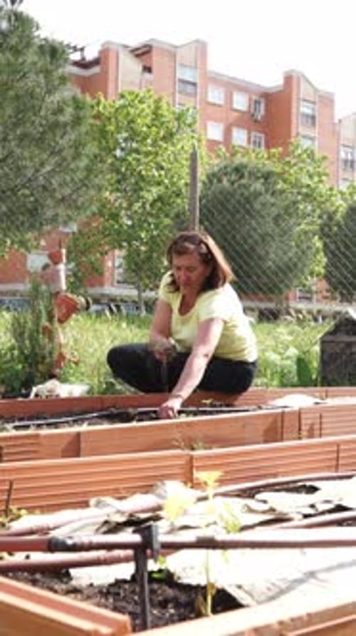 Senior woman working in an urban community garden