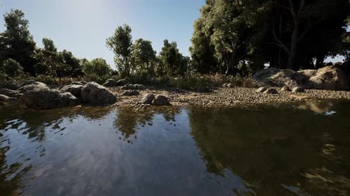 Tranquil River Stream in Lush Forest Landscape