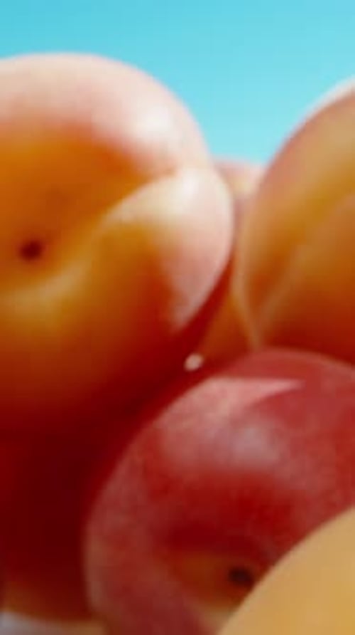 A mountain of apricots against the blue sky. the camera moves through the apricots. Vertical, Social