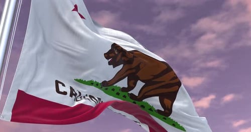 California Flag Animation Minimal Corporate Video