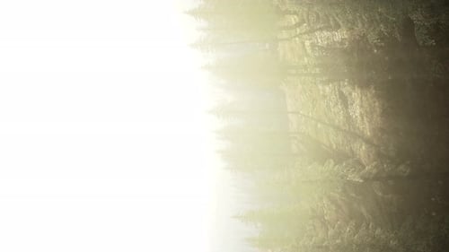 Vertical Format of Misty Mountain Forest Landscape in the Morning