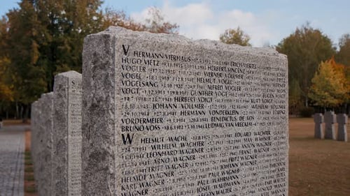 Stone tombstones in the German cemetery in the fall. Beautiful German cemetery near Kyiv.
