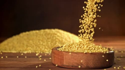Golden Millet Seeds Pouring Into Wooden Bowl