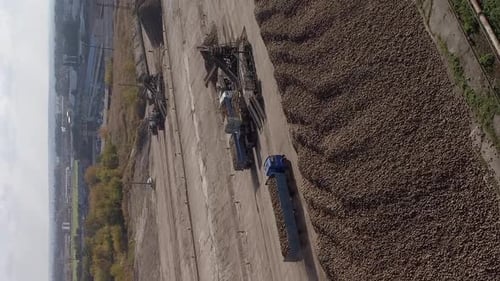 Die Bewegung eines mit Zuckerrüben gefüllten Lastwagens Harvest Sweet Roots