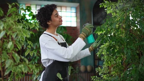 Running of Own Business African Woman Florist with Spray Bottle Watering Fertilizing Plants in