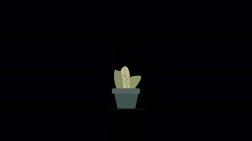 Animated Plant Growth Flat Design