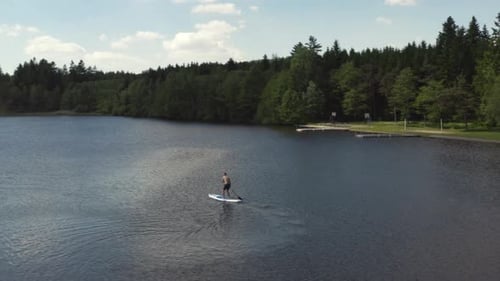 Man Paddleboarding on a Calm Lake Surrounded by Forest