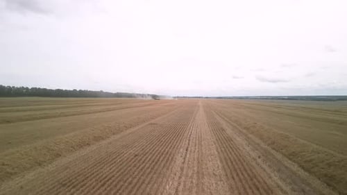 Wheat field aerial view in Ukraine
