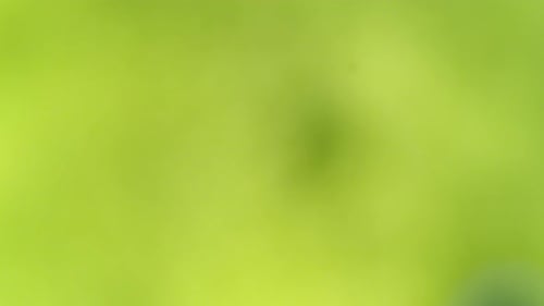 Contagion Collection: Close up view of a microscopic cell over a green crystalline surface