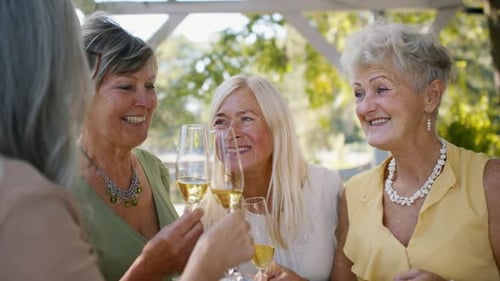 Des amies âgées tintent des coupes de champagne lors d'une fête d'anniversaire en plein air
