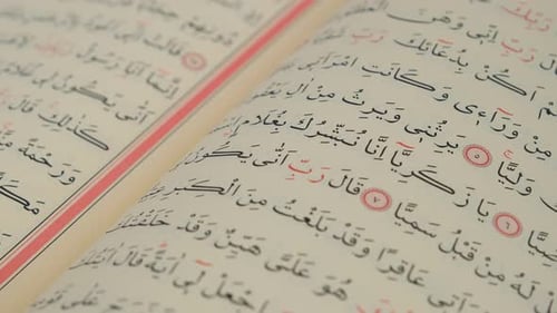 Koran hautnah