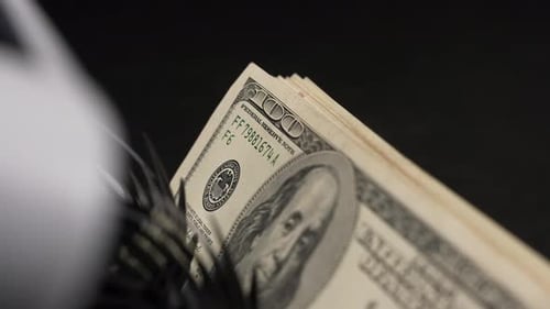 Money Counting Machine Counts Hundred Dollar Bills