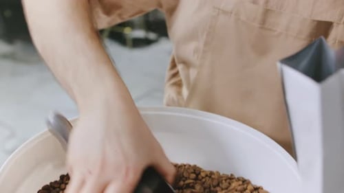 Barista Pours Coffee Beans Into a Bag at the Artisan Cafe During the Morning Rush for Fresh Brewing