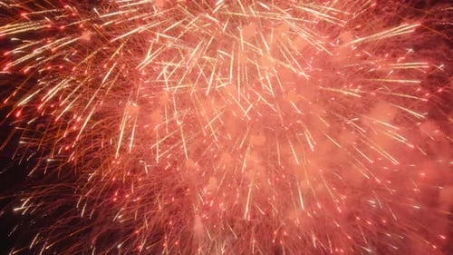 Fireworks Display Bursts with Light and Color at Night