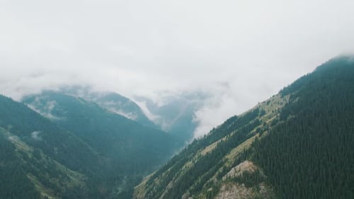 Misty Mountains Landscape with Evergreen Trees Aerial View