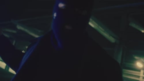 Bad Criminal