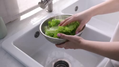 Woman washing lettuce in sieve at sink, closeup