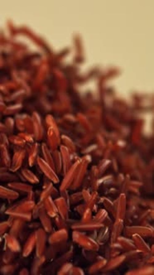 Red Rice Flies Up and Falls Down Filmed on a Highspeed Camera at 1000 Fps