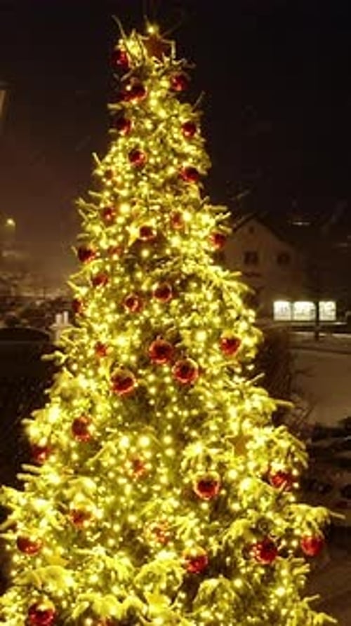Illuminated Christmas Tree in an Urban Setting at Night