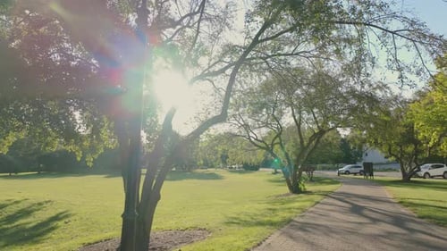 Public Park with Green Grass Trees with Leaves on Sunny Day Summer Time Move Camera