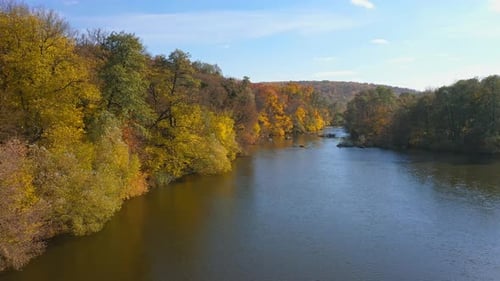 Aerial view. Flying over the beautiful sunny forest trees and wide river.