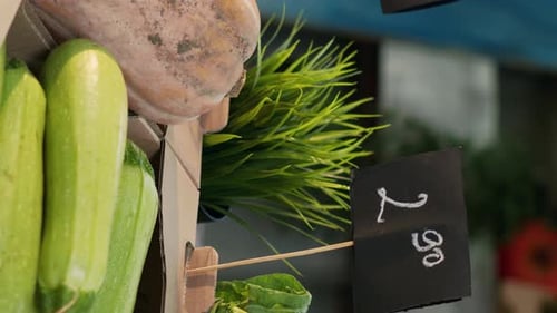 Vertical Video Natural Organic Fruits and Vegetables on Farmers Market Counter