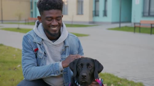 Cheerful African American Man Spending Free Day in City with Labrador Dog Handsome Young Guy