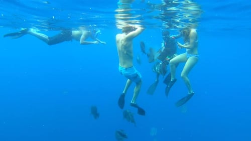 People snorkeling