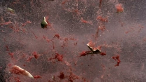 Exploding Watermelon in Slow Motion on Black Background