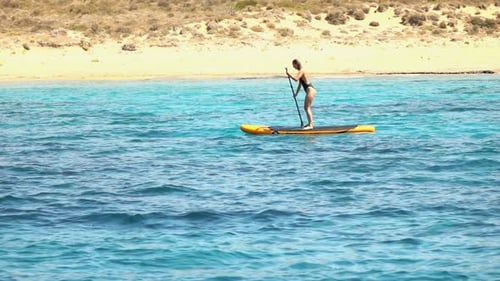 Woman on Sup Board Paddle in Sea, Super 240