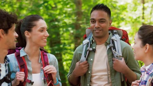 Friends Hiking and Talking Together in a Lush Forest