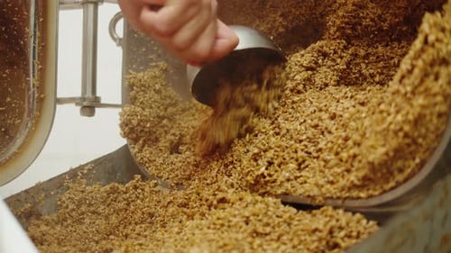 Fábrica de produção de cerveja artesanal Fabricação de cervejarias colocando grãos de malte de cevada no closeup do transportador