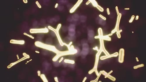 Abstract Glowing Microscopic Organisms Medical Science Animation