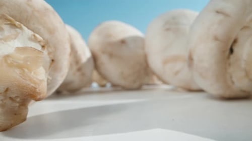 Close Up of Fresh, White Mushrooms