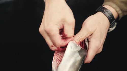 Close-up of hands cleaning and preparing fresh fish without knife, perfect for culinary projects.