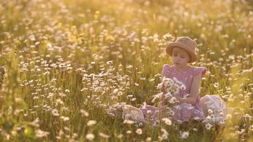 A Little Girl Sits in a Field and Makes a Bouquet