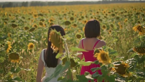 Two Women Walking Through Sunflower Field on Sunny Day