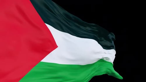 Realistic Waving Country Flag Animation