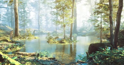 Serene Forest Landscape with Tranquil Pond Surrounded By Lush Greenery