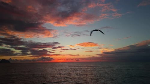 Aerial Sunrise Over the Calm Sea with Birds Flying Across a Colorful Sky Captured By a Drone Above