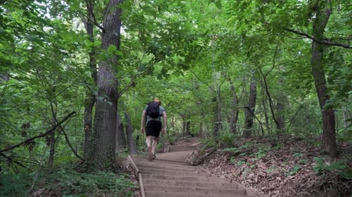 Male Hiker walking up the hill in the summer forest, walking on stairs up the trail