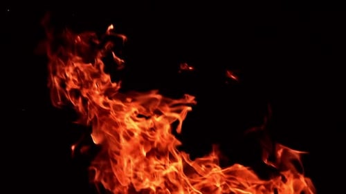 Raging fire flames dancing in the darkness. Orange flame rising and stretching up. Close up.