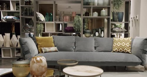 Stylish Sofa and Interior Design in Modern Living Room