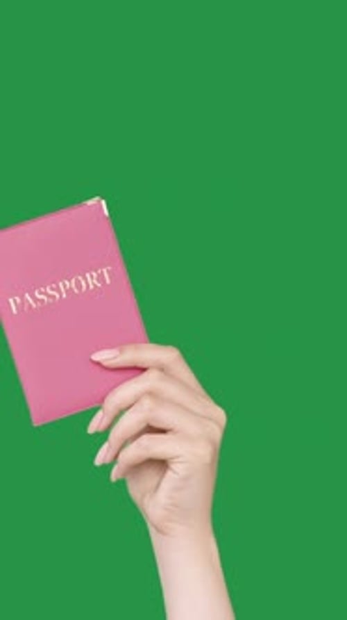 Womans Hand Holding Passport Isolated on Green Screen