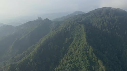 Aerial view of foggy morning over mountain forest.