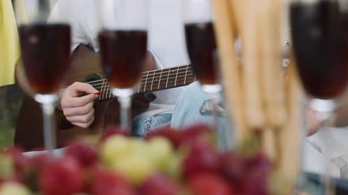 Friends Relaxing with Guitar and Beverages Outdoors