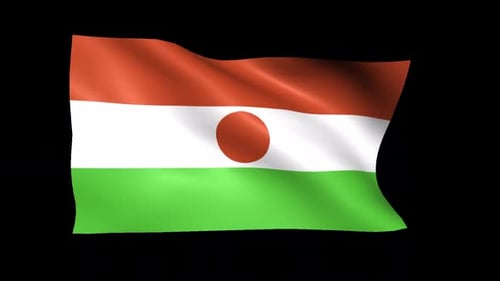 Waving Niger National Flag Loop on Black Background