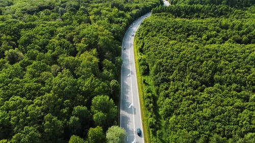Lush green winding road in Europe.